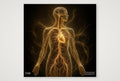 Anatomie als Kunstwerk — 20×20cm, 8×8" Print only