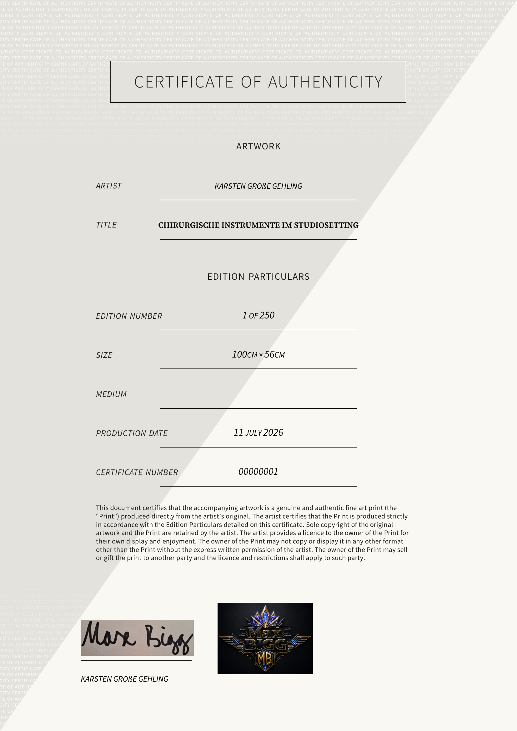 Chirurgische Instrumente im Studiosetting — Certificate of Authenticity